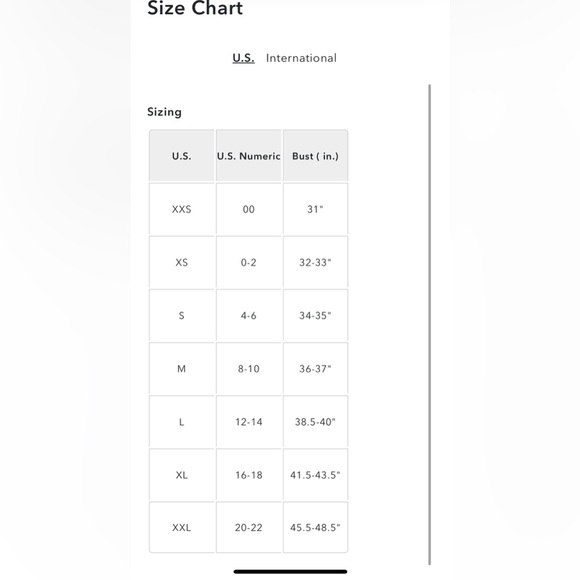 NEW! Lulu’s Stunning Black Gathered Organza Bodice with Oversized Bow - Picture 14 of 14